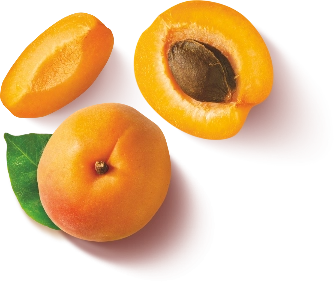 Albicocche Albicocche