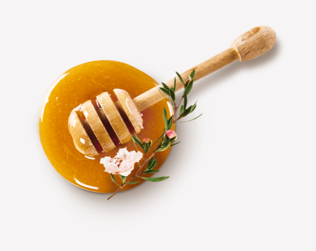 Miele (1)